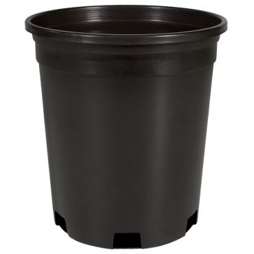Image Label