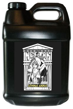 Image Label