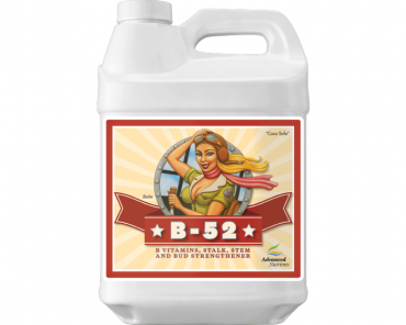 Image Label