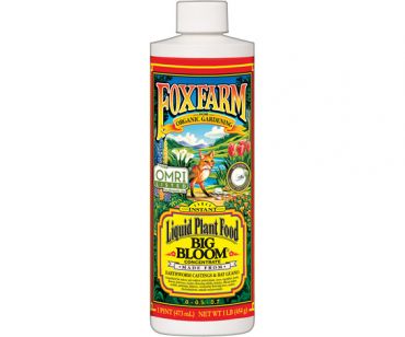 Image Label