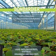 Image Label