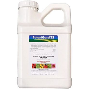 Image Label