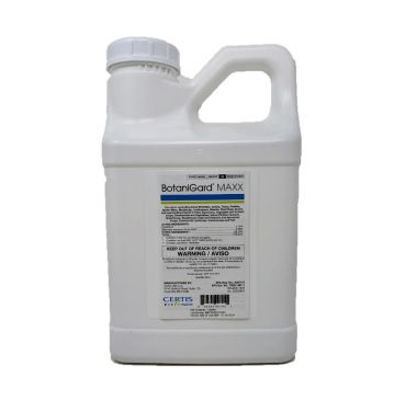 Image Label