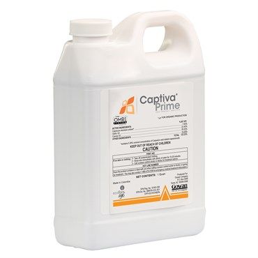 Image Label