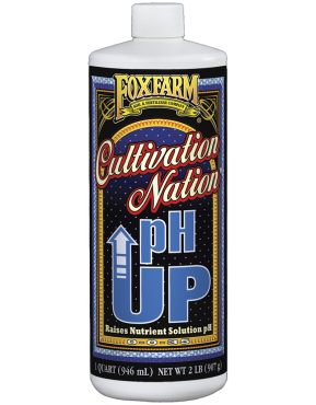 Image Label