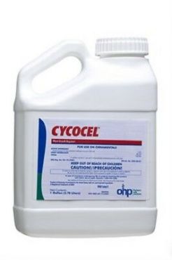 Image Label