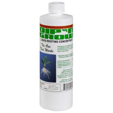 Image Label