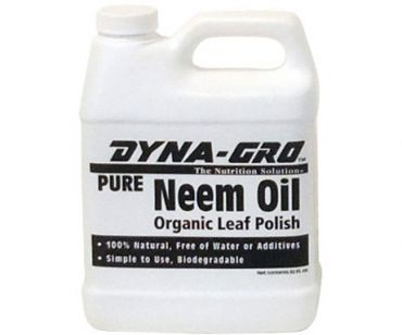 Image Label