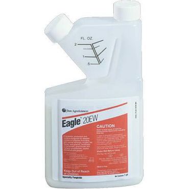 Image Label