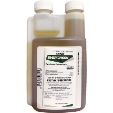 Image Label