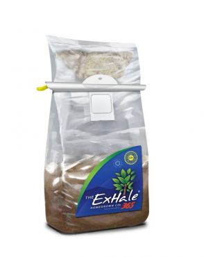 Image Label