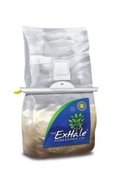 Image Label