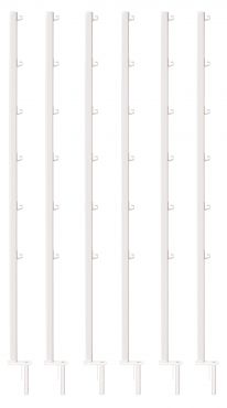 Image Label