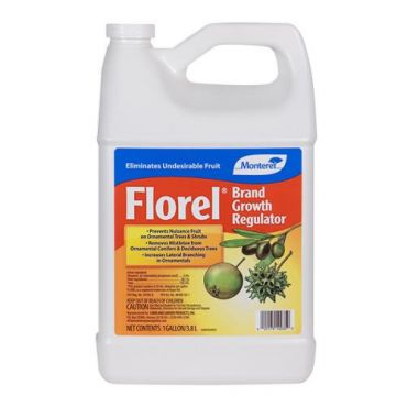 Image Label
