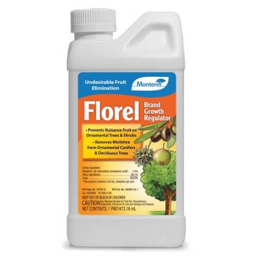 Image Label