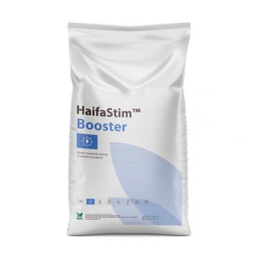 Image Label
