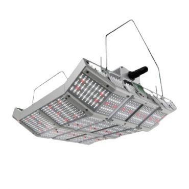 Image Label