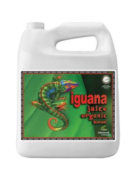 Image Label