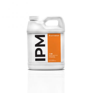Image Label