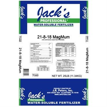 Image Label