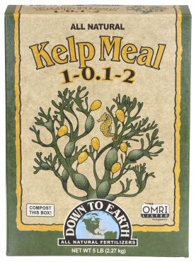 Image Label