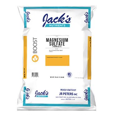 Image Label