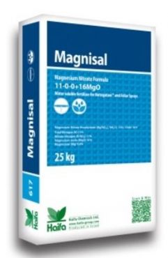 Image Label