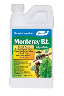 Image Label