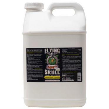 Image Label