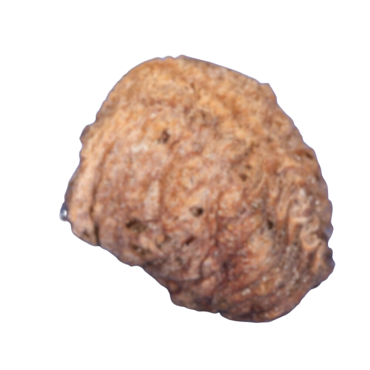 Image Label