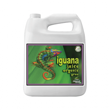 Image Label
