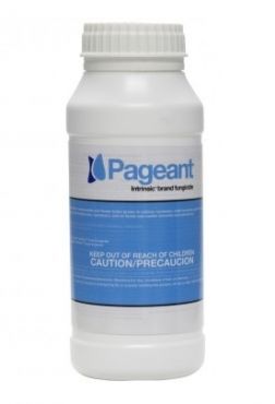 Image Label