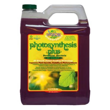 Image Label