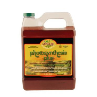 Image Label