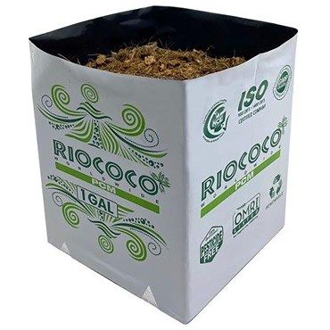 Image Label