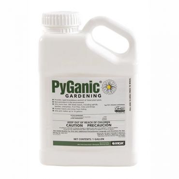 Image Label