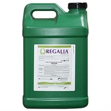 Image Label
