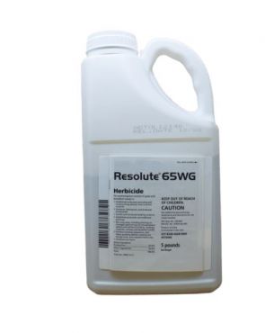 Image Label