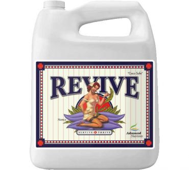 Image Label