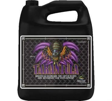 Image Label
